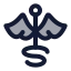 Caduceus icon with duotone rounded style