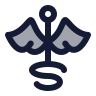 Caduceus icon preview