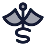 Caduceus icon preview
