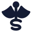 Caduceus icon with solid standard style
