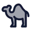 Camel icon with duotone standard style