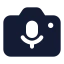 Cameramicrophone icon with solid standard style