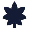 Cannabis icon preview