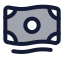 Cash icon with duotone standard style