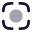 Centerfocus icon with bulk rounded style