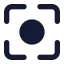 Centerfocus icon with solid standard style