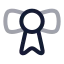 Certificate icon with twotone rounded style