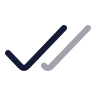 Check Check icon preview