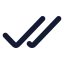 Checkcheck icon with solid rounded style