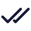 Checkcheck icon with solid standard style