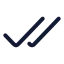 Checkcheck icon with stroke rounded style
