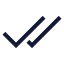Checkcheck icon with stroke sharp style