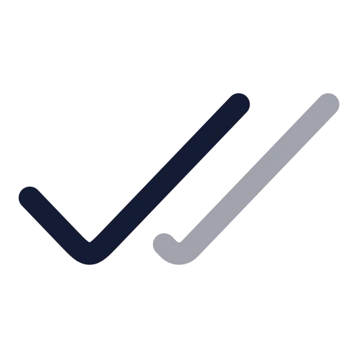 Check Check Icon in Twotone Rounded style