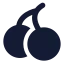 Cherry icon with solid standard style