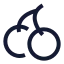 Cherry icon with stroke sharp style