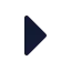 Chevronright icon with solid standard style