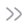 Chevrons Right icon preview