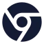 Chrome icon with solid sharp style