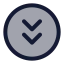 Circlearrowdowndouble icon with duotone standard style