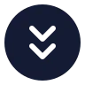 Circle Arrow Down Double icon preview