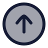 Circle Arrow Up 02 icon preview