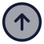 Circlearrowup icon with duotone standard style