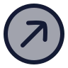 Circle Arrow Up Right 02 icon preview