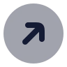 Circle Arrow Up Right icon preview