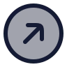Circle Arrow Up Right icon preview