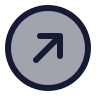 Circle Arrow Up Right icon preview