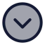 Circlechevrondown icon with duotone standard style