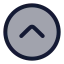 Circlechevronup icon with duotone rounded style