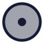 Circledot icon with duotone standard style