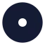 Circledot icon with solid rounded style