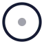 Circledot icon with twotone rounded style