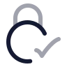 Circle Lock Check 01 icon preview