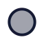 Circlesmall icon with duotone standard style