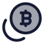 Coinsbitcoin icon with duotone standard style