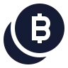 Coins Bitcoin icon preview