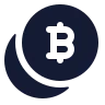 Coins Bitcoin icon preview