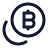 Coins Bitcoin icon preview