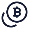 Coins Bitcoin icon preview
