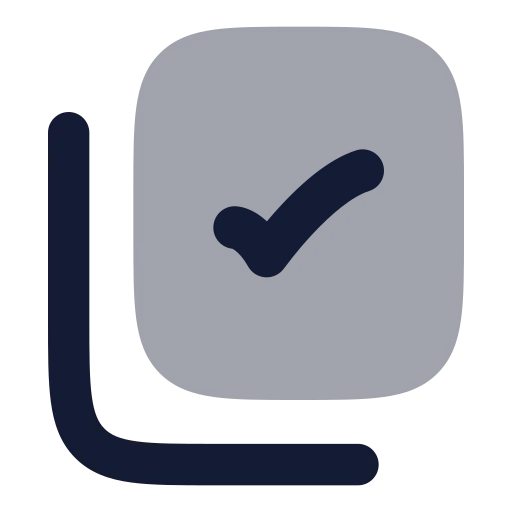 Copy Check Icon in Bulk Rounded style