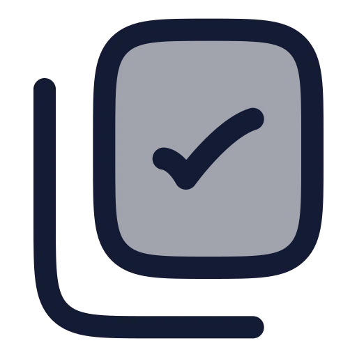 Copy Check Icon in Duotone Rounded style
