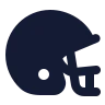 Cricket Helmet icon preview