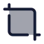 Crop icon with duotone standard style