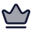 Crown icon with duotone rounded style