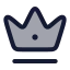 Crown icon with duotone rounded style
