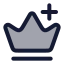 Crownplus icon with duotone rounded style