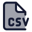 Csv icon with duotone standard style